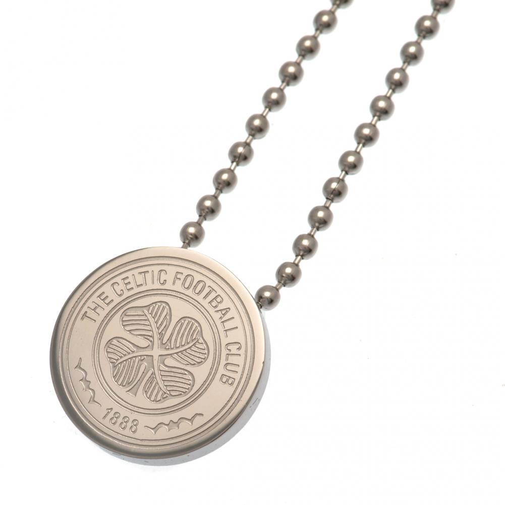 Celtic Stainless Steel Pendant & Chain