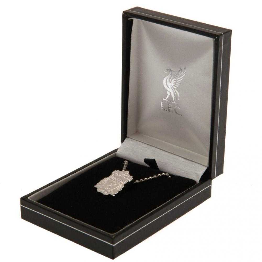Liverpool Stainless Steel Pendant & Chain