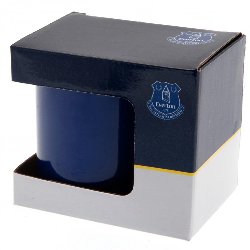 Everton Mug HT
