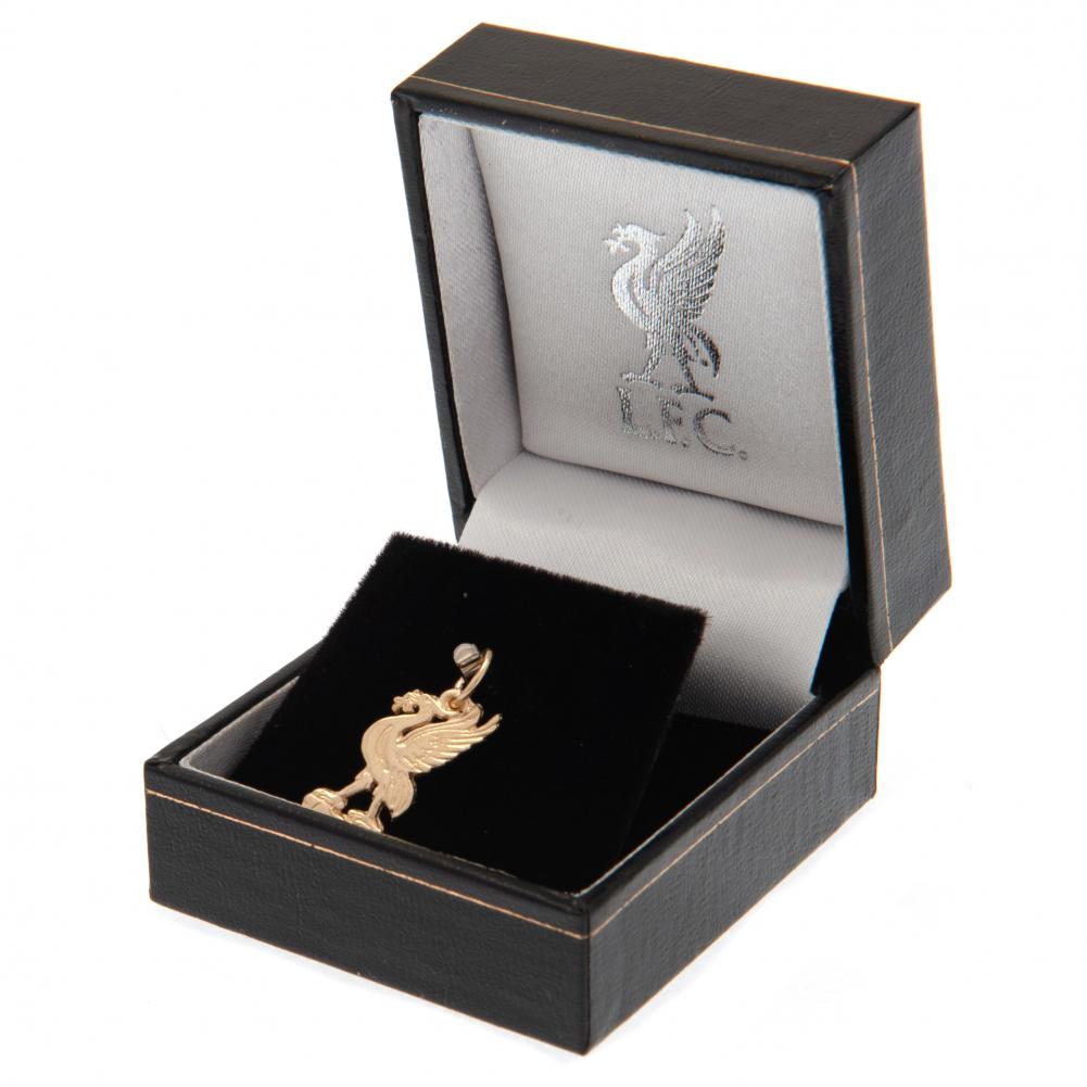 Liverpool 9ct Gold Pendant Liverbird Small