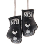 Tottenham Hotspur Mini Boxing Gloves