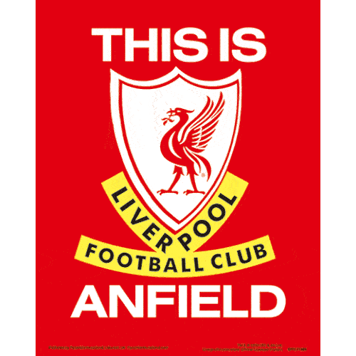 Liverpool 3D Print