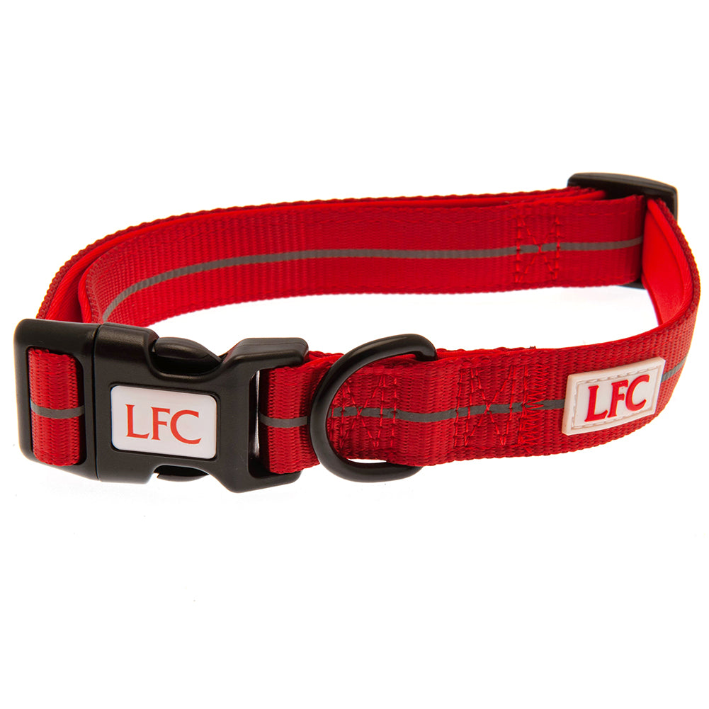 Liverpool High-Vis Dog Collar L