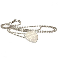 Arsenal Stainless Steel Pendant &amp; Chain