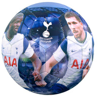 Tottenham Hotspur Players Photo Football