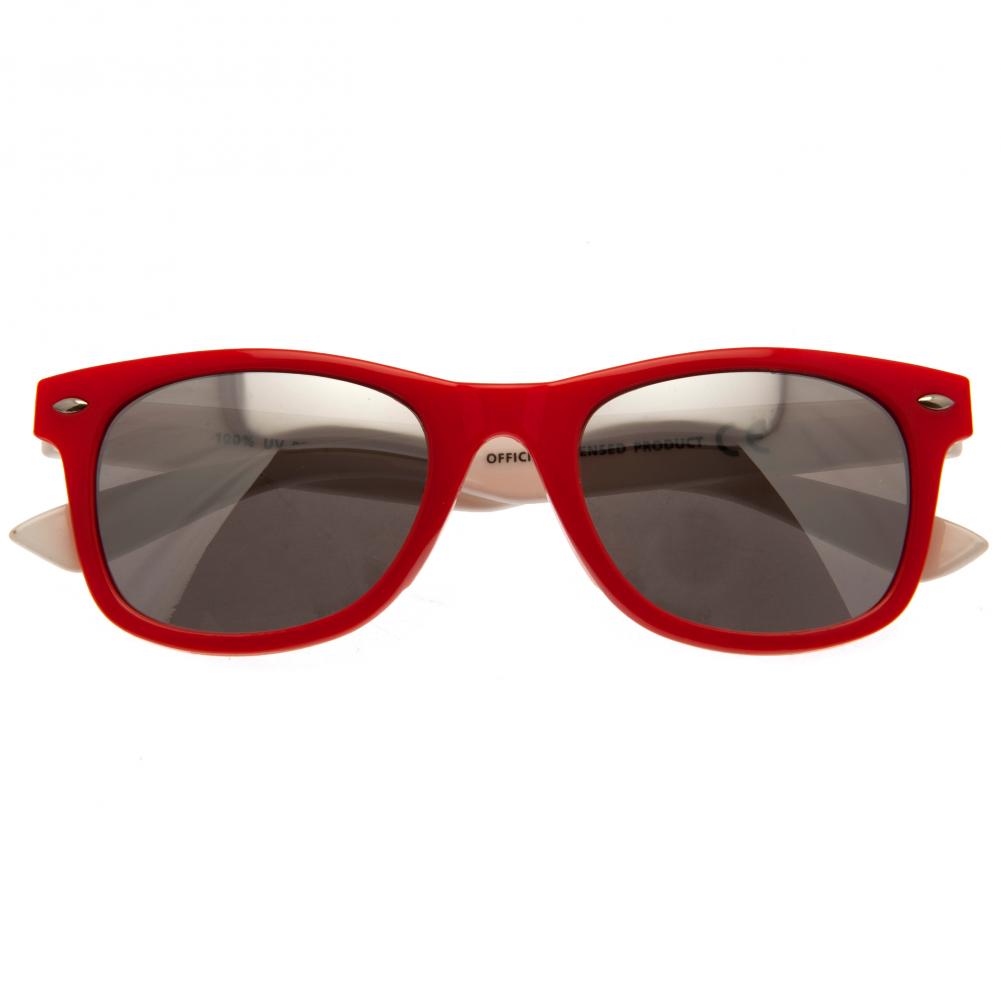 Wales Rugby Sunglasses Junior Retro