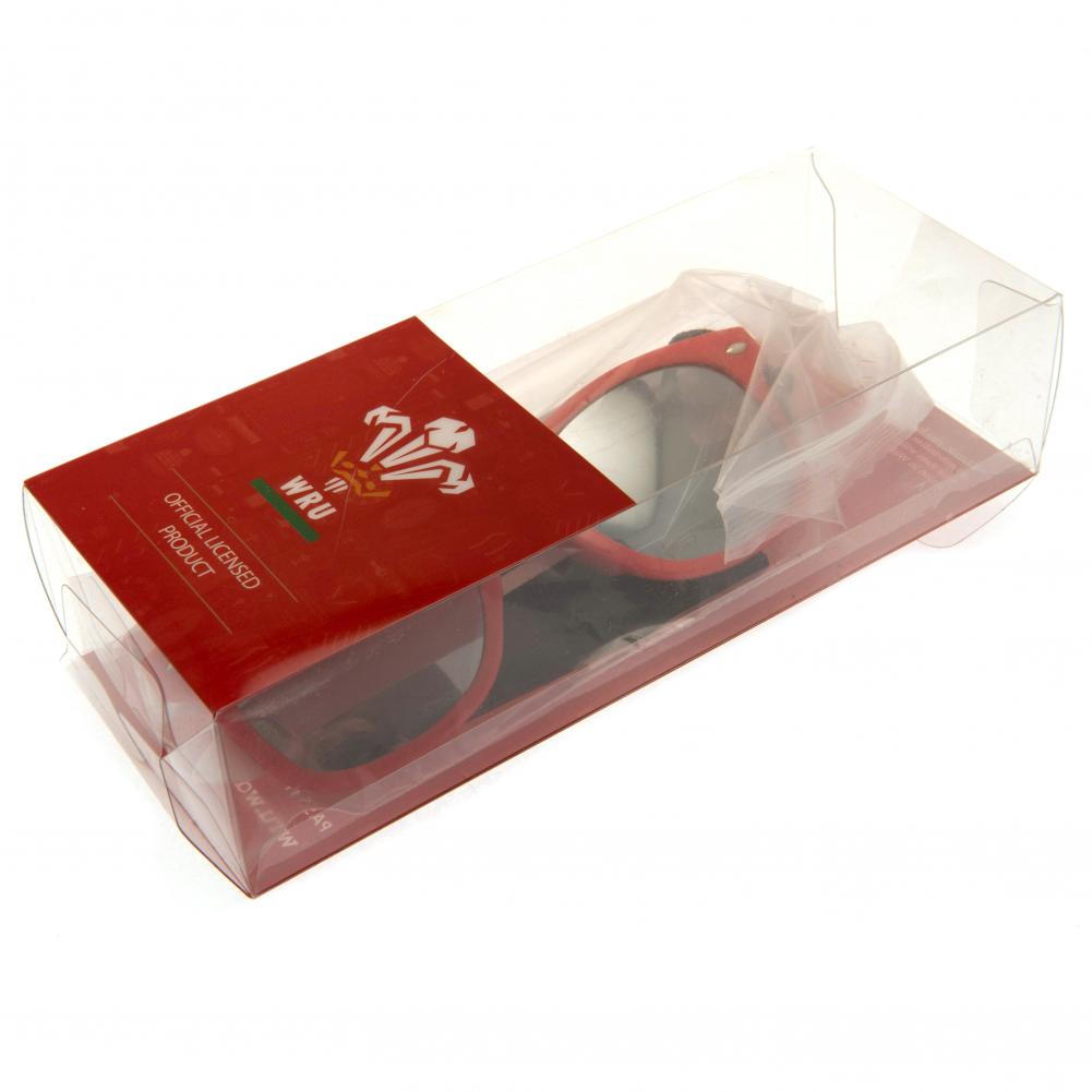 Wales Rugby Sunglasses Junior Retro