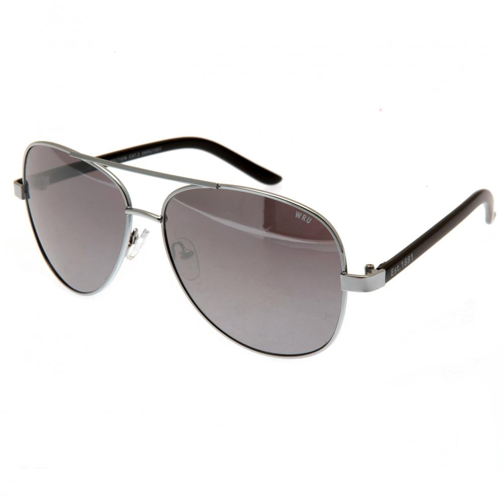 Wales Rugby Sunglasses Adult Aviator