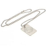 Celtic Silver Plated Dog Tag &amp; Chain
