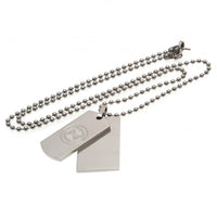 Celtic Double Dog Tag &amp; Chain