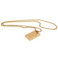 Celtic Gold Plated Dog Tag &amp; Chain