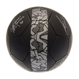 Manchester City Skill Ball Signature PH