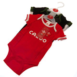 Wales Rugby 2 Pack Bodysuit 3-6 Mths PC