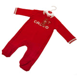 Wales Rugby Sleepsuit 3-6 Mths PC